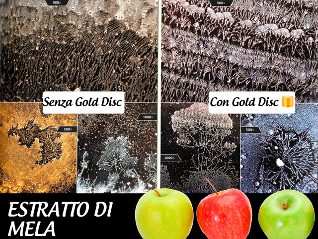 confronto-gold-disc-copia